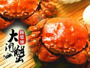 农创首测