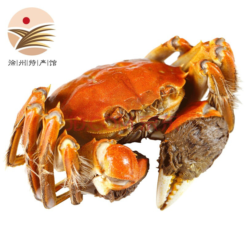 阳澄湖