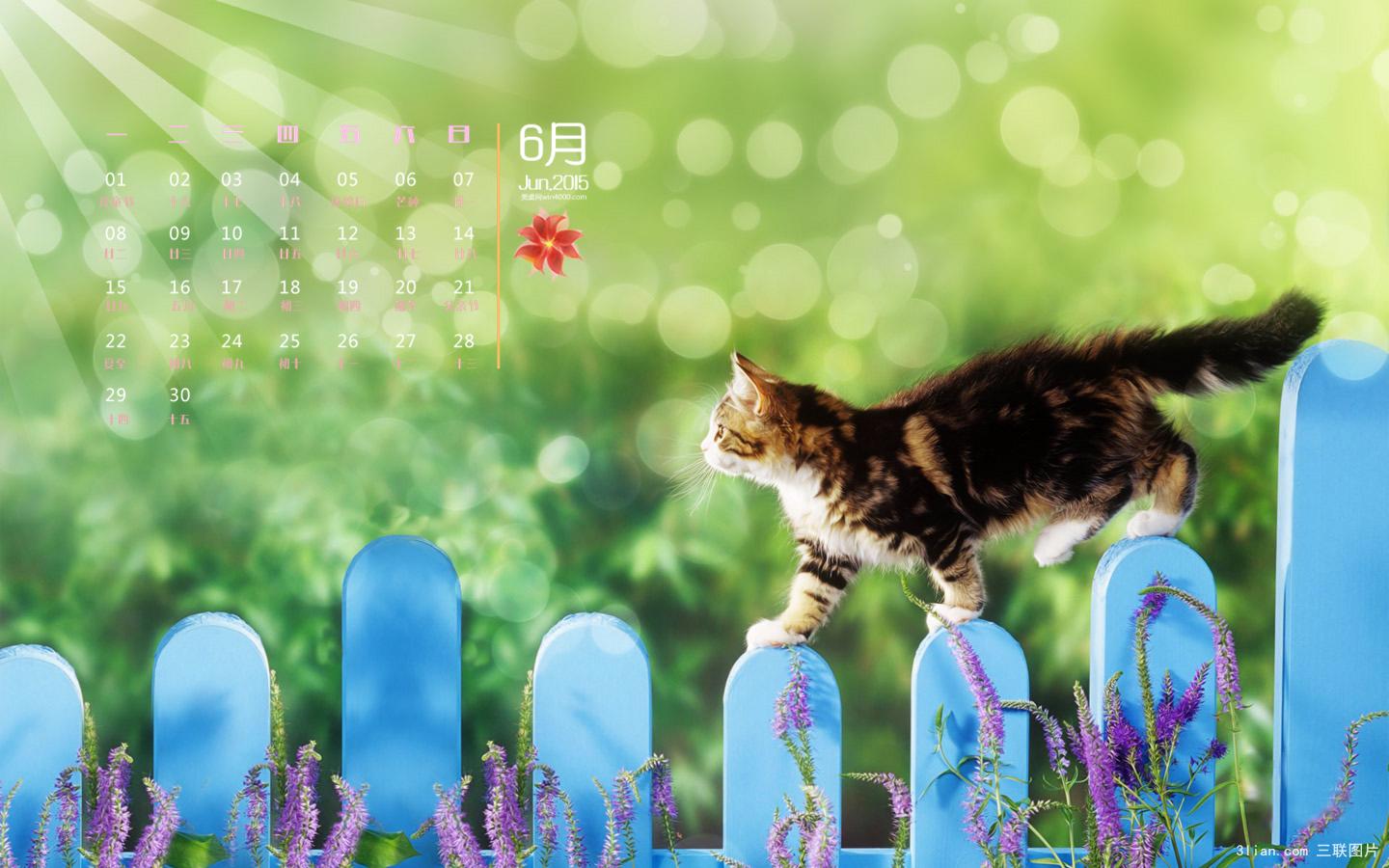 零零三