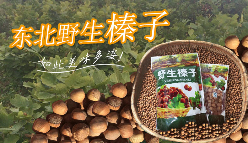 新疆烝子