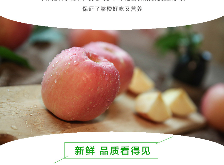 长生果