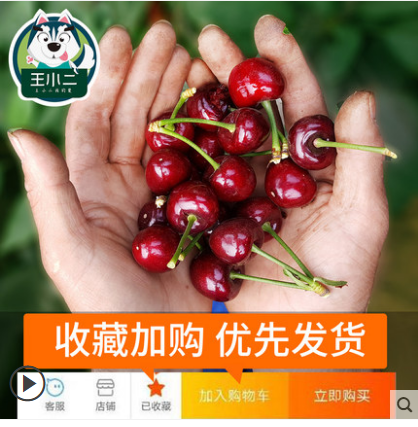 快乐玛丽